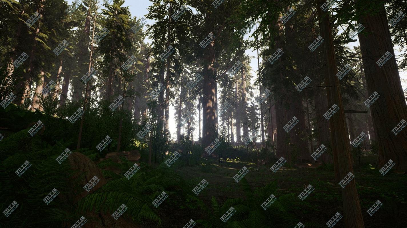 images/goods_img/202105073/Redwood Forest for Game Ready model/5.jpg